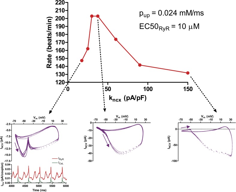 Figure 20.