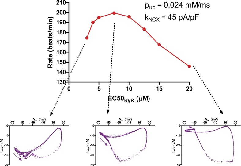 Figure 21.