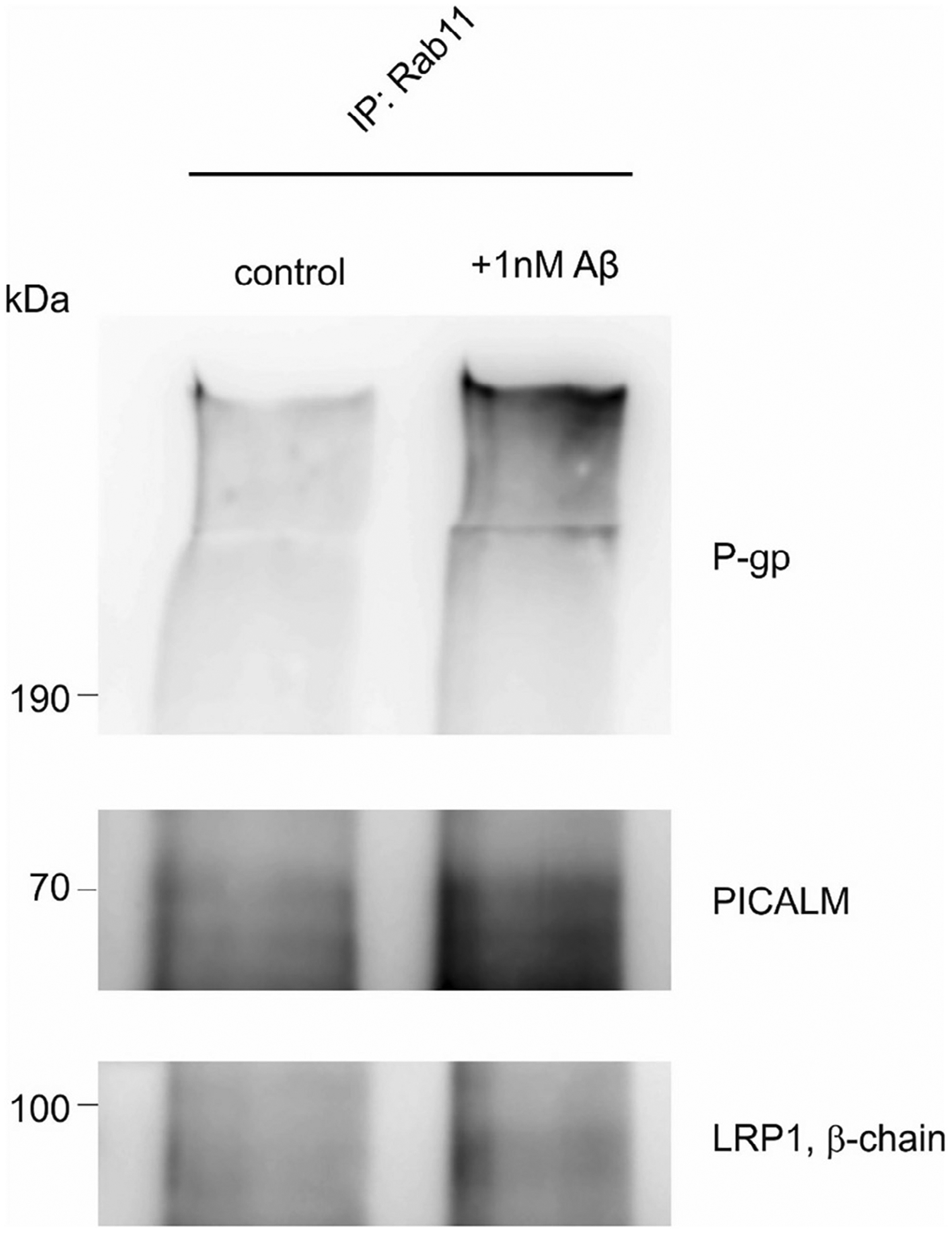 Fig. 10.