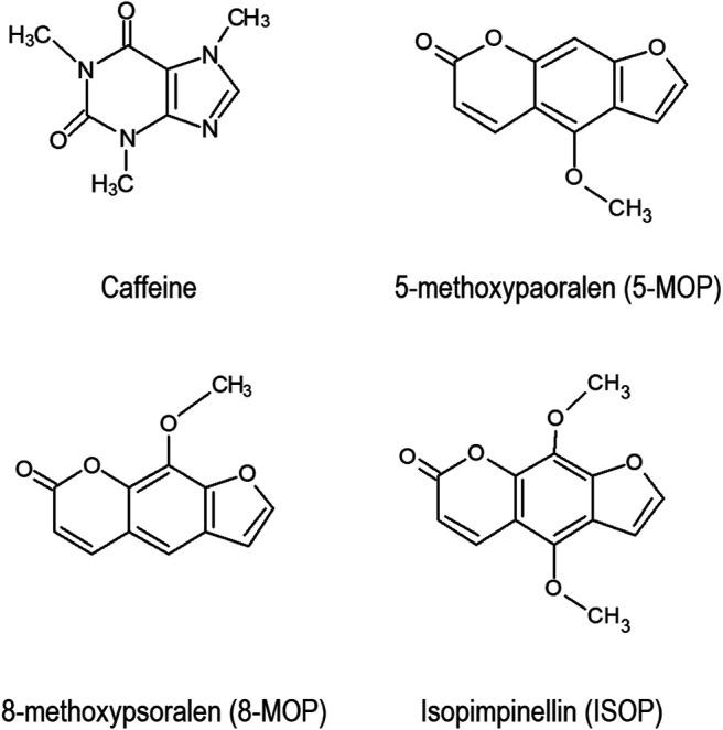 FIGURE 1