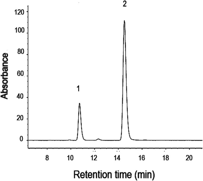 FIGURE 2