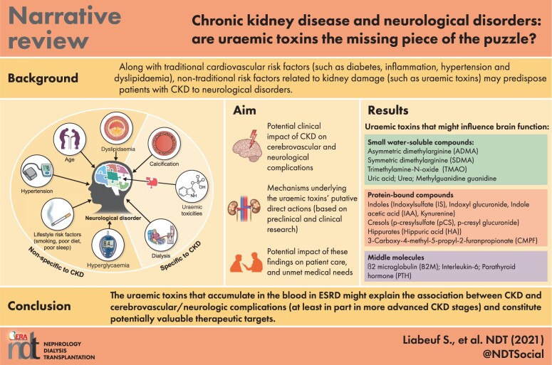 Graphical Abstract