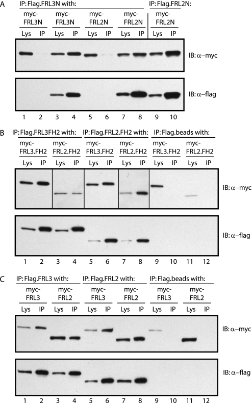 FIGURE 7.