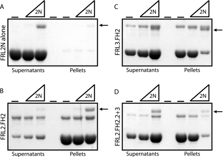 FIGURE 11.