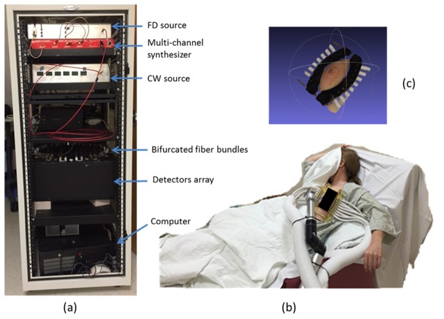 Fig. 1