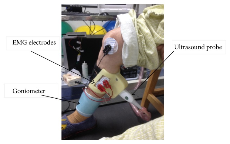 Figure 1