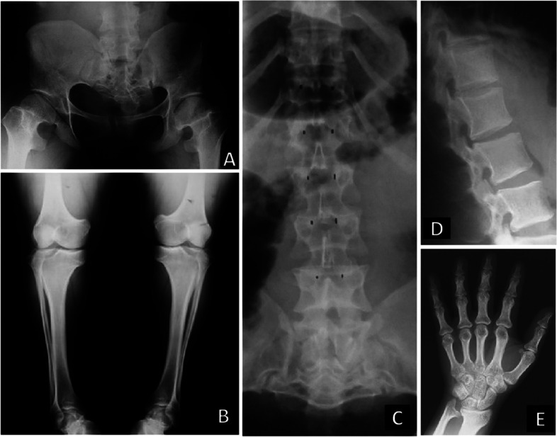 Fig. 3