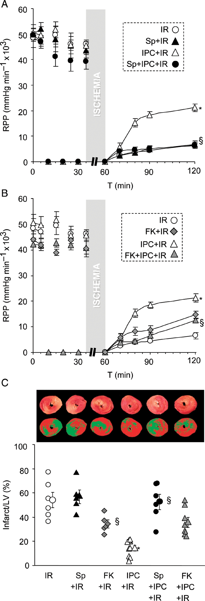 Figure 5