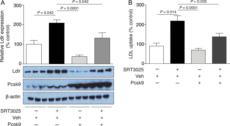 Figure 5