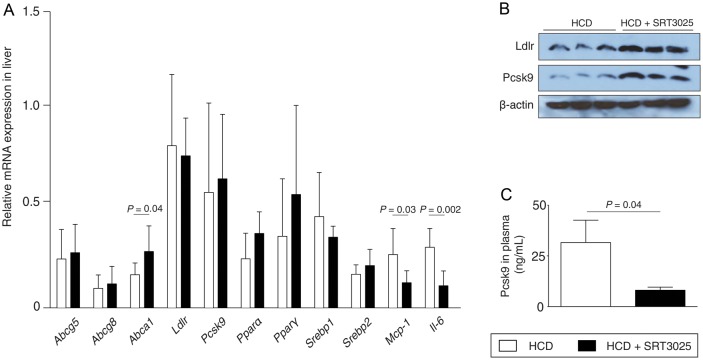 Figure 3