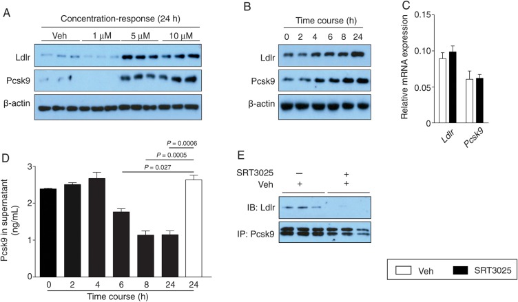 Figure 4