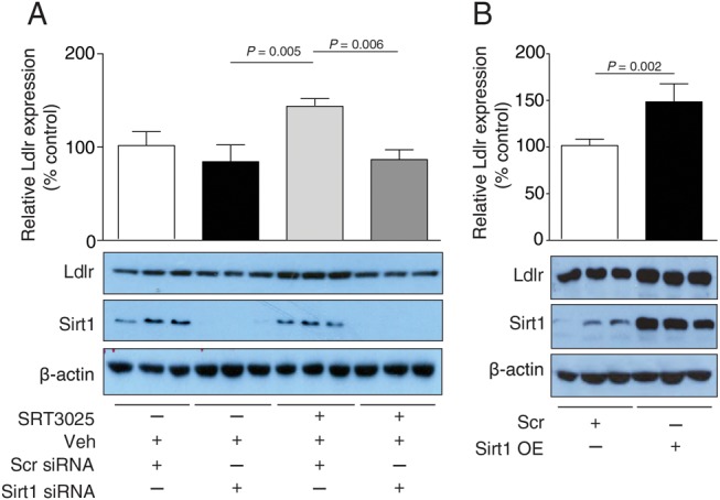 Figure 6