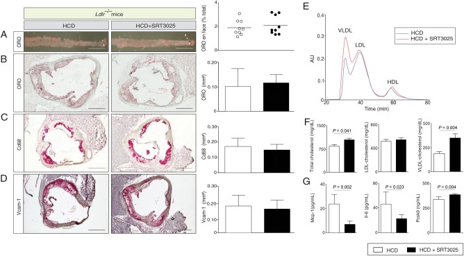 Figure 7