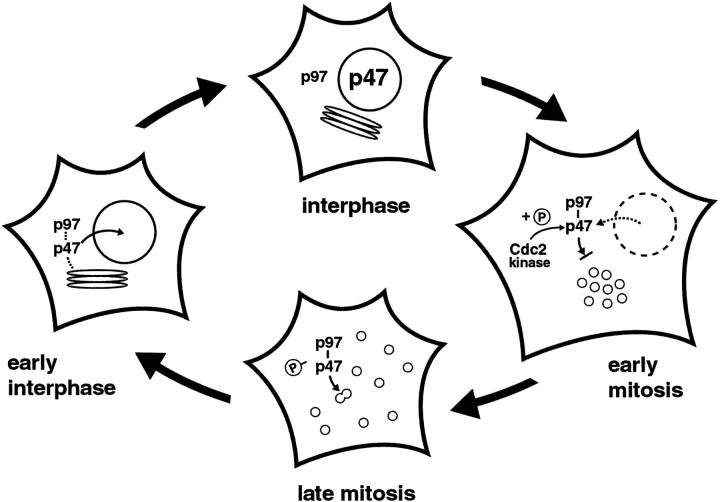 Figure 9.