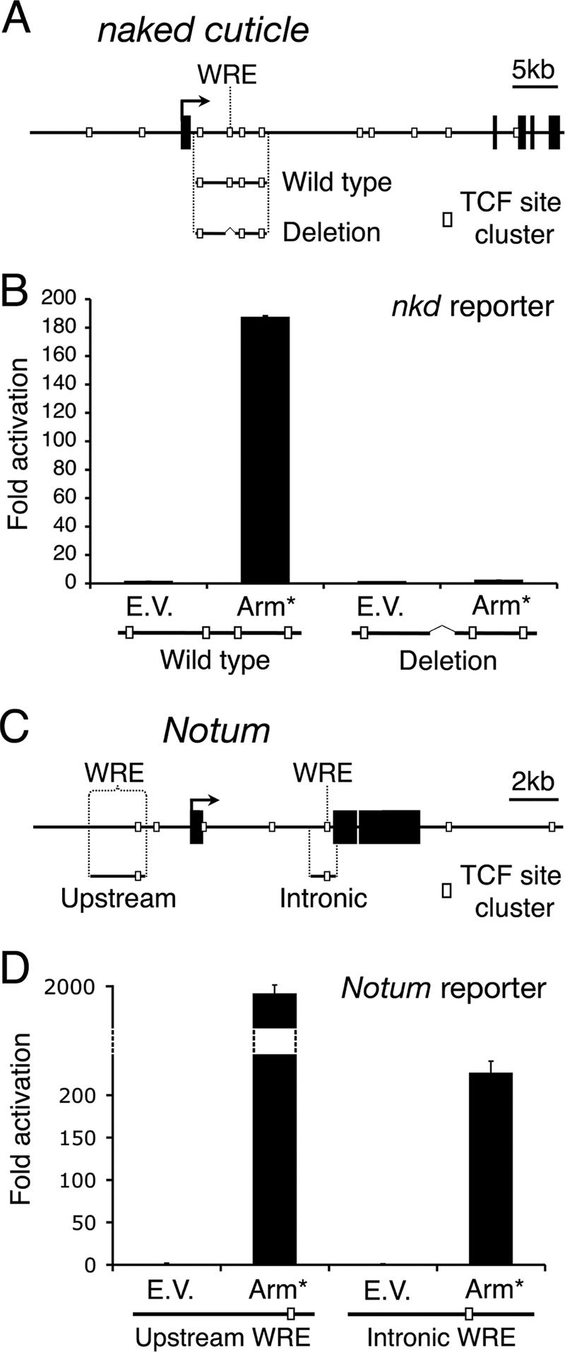 FIG. 5.