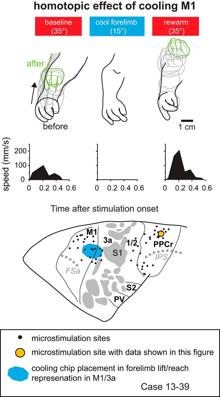 Figure 10.