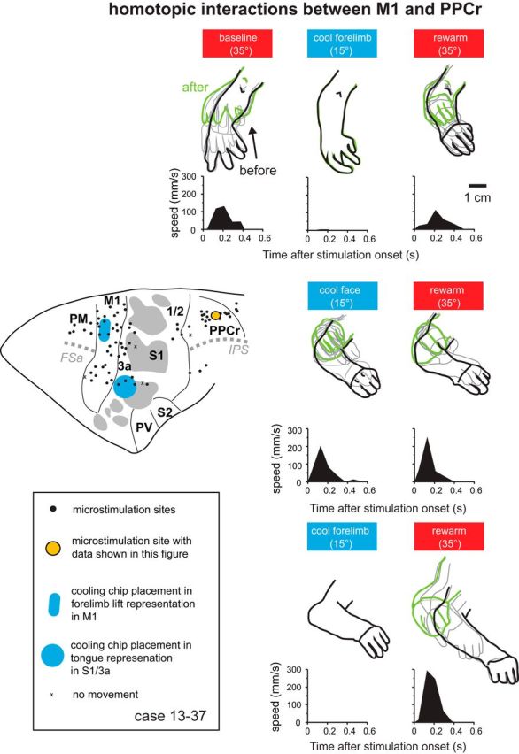 Figure 11.