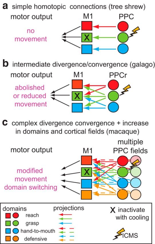 Figure 12.