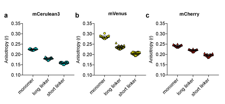 Figure 1—figure supplement 1.