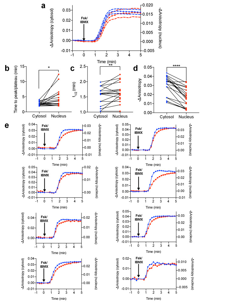 Figure 1—figure supplement 8.