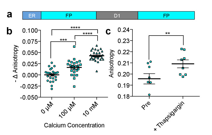 Figure 3—figure supplement 3.