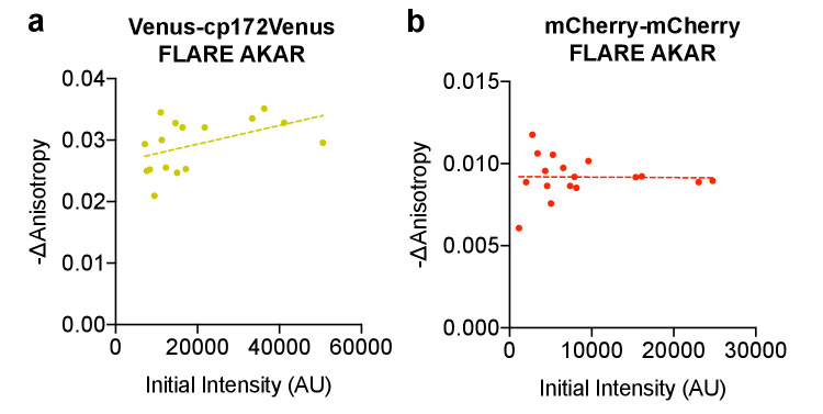 Figure 1—figure supplement 3.