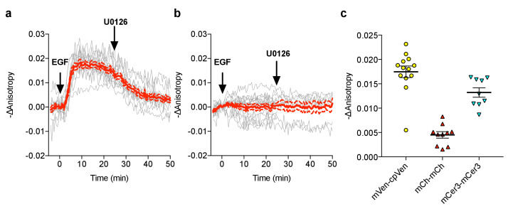 Figure 2—figure supplement 1.