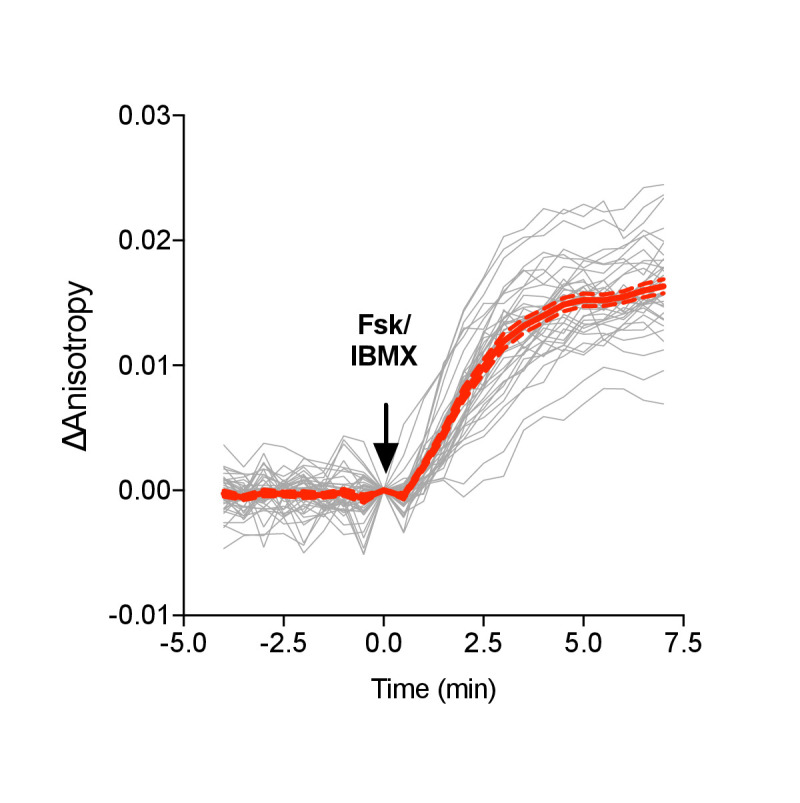 Figure 3—figure supplement 4.