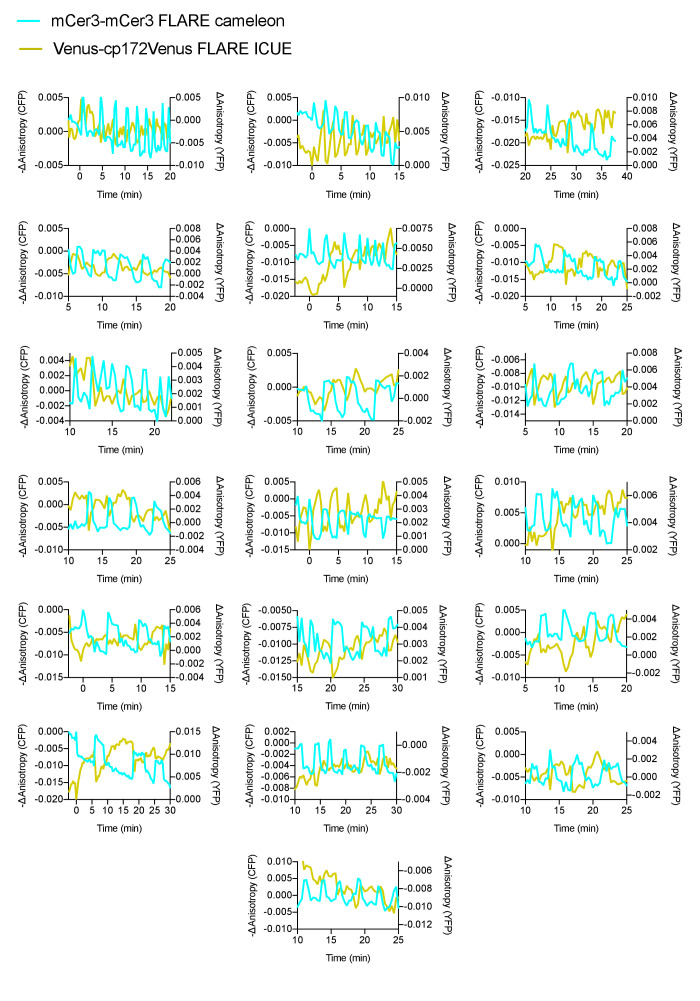 Figure 4—figure supplement 4.