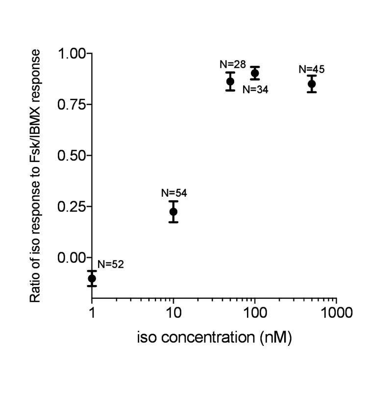 Figure 1—figure supplement 4.