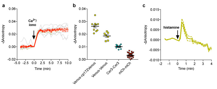 Figure 3—figure supplement 1.