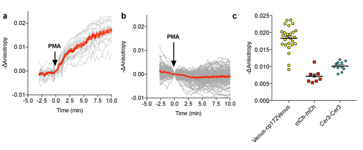 Figure 2—figure supplement 3.