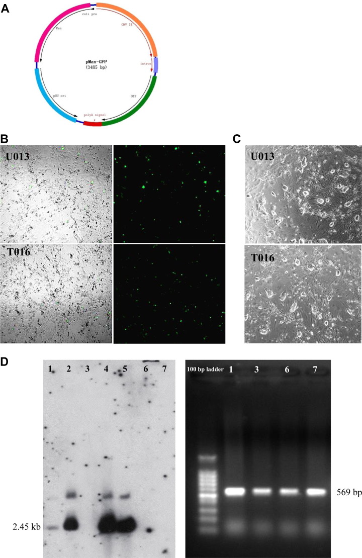 Fig. 2