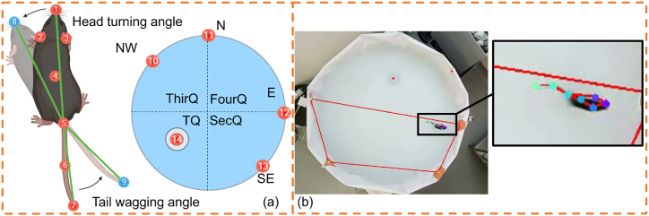 Fig. 1