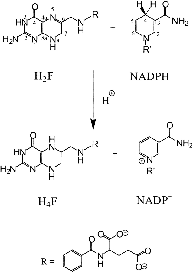 Scheme 1.