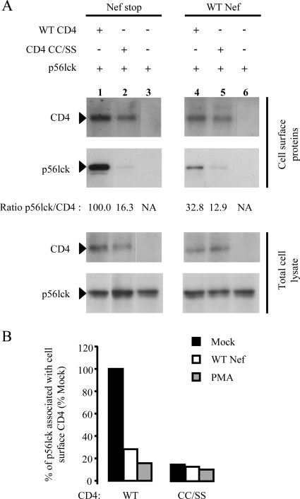 FIG. 6.