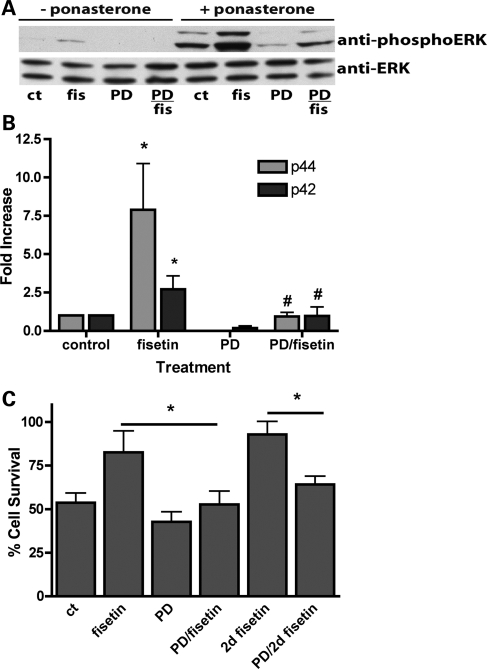 Figure 2.