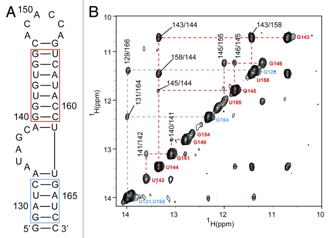 graphic file with name rna-10-1136-g2.jpg