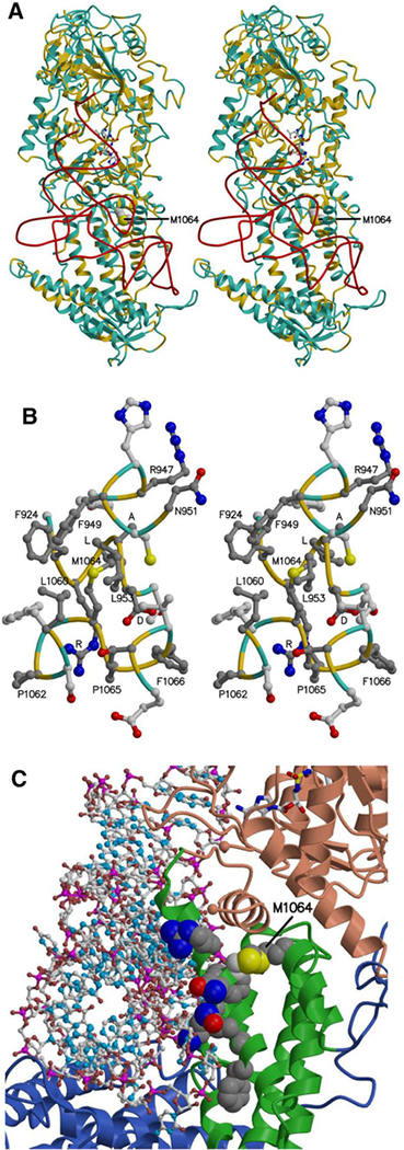 Fig. 3