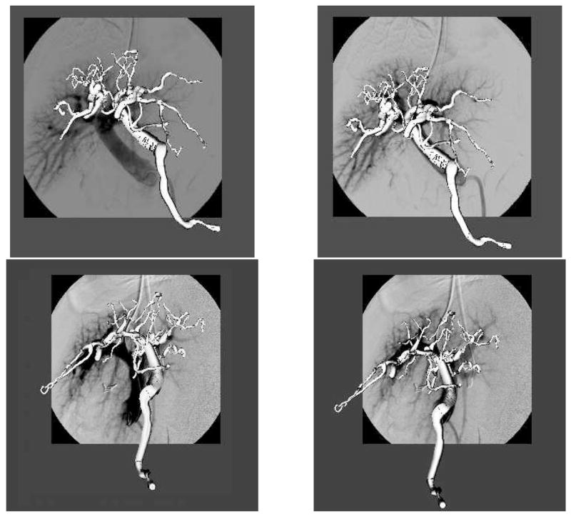 Fig. 4