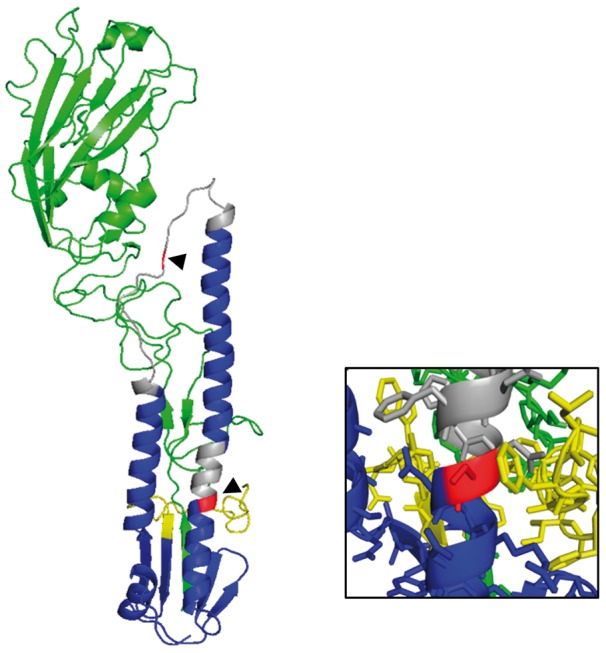 Figure 5.