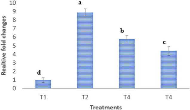 FIGURE 4