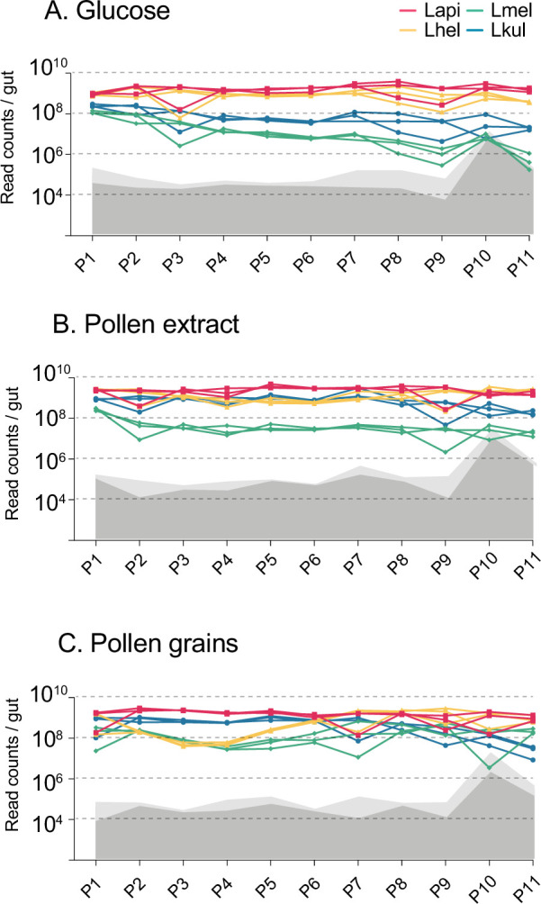 graphic file with name elife-78825-fig6.jpg