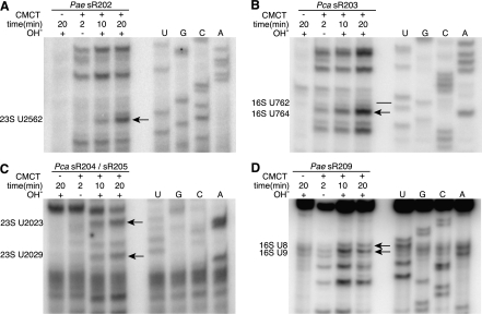 FIGURE 4.