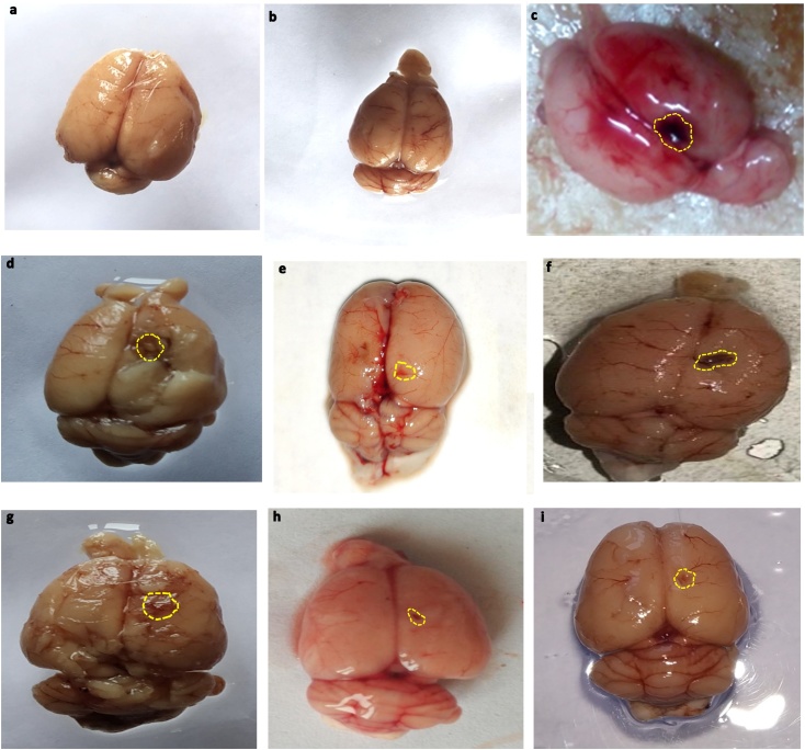 Fig. 9