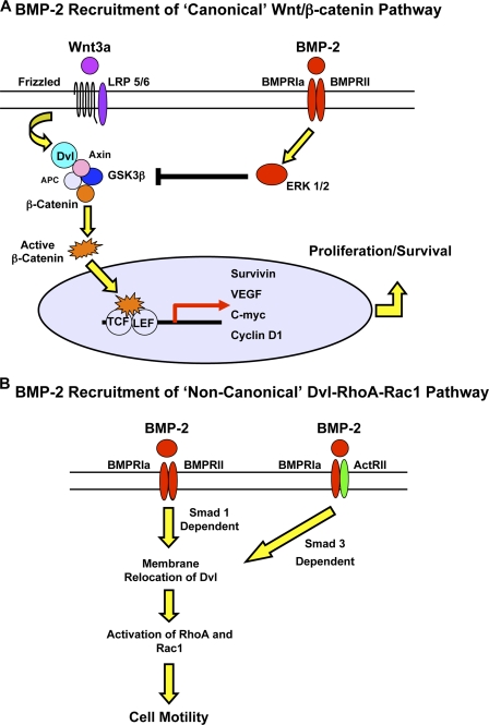 Figure 10.