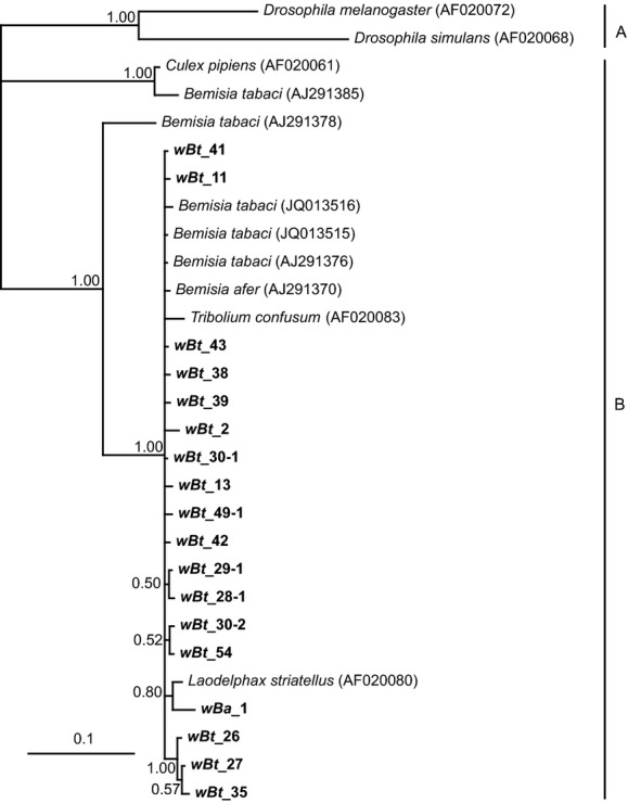 Figure 5