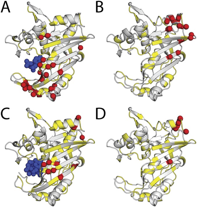 Fig. S3.