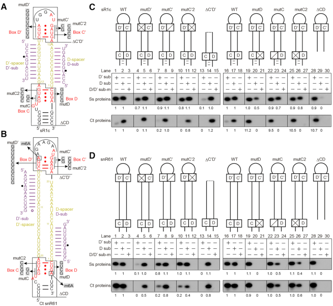 Figure 4.