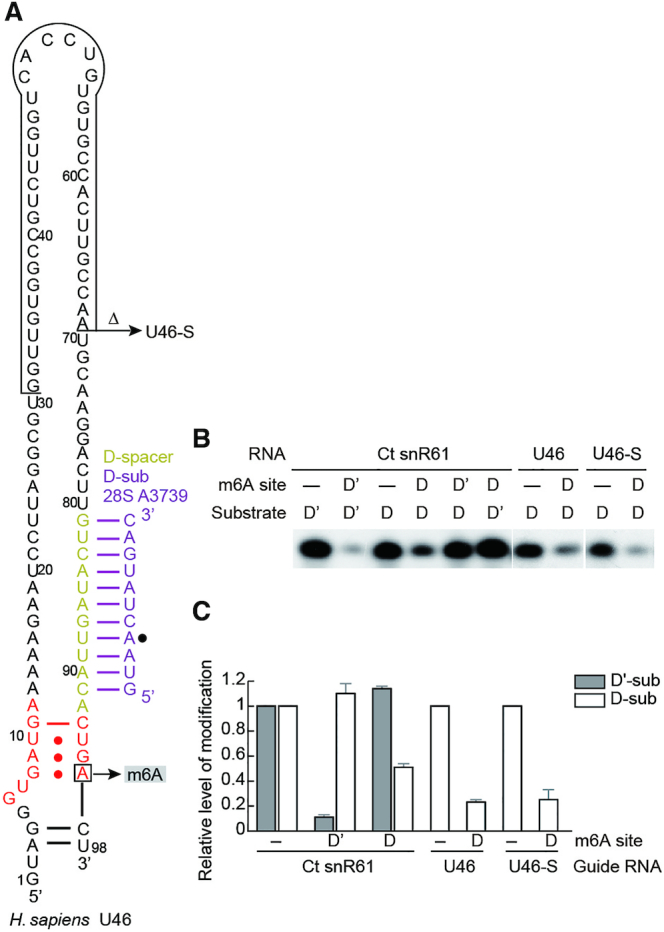 Figure 6.